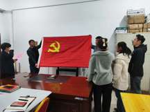 戴党徽 宣誓言 铭初心