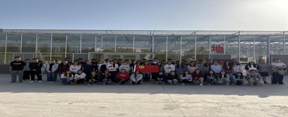 d741bd2bcc0690c1a7ff9495dac12526