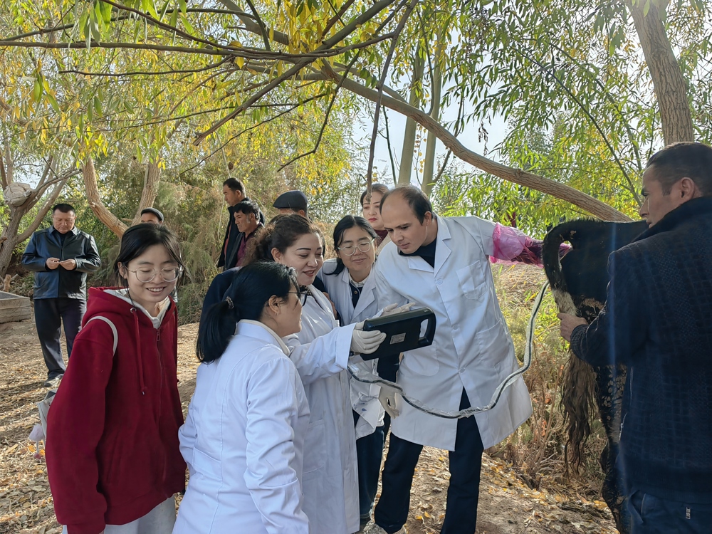 lQDPJxgHq6Ab4lPNDADNEACwkihkWKiWy34I7za-YQTqAA_4096_3072