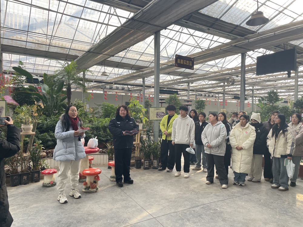 302b17b9c55df46507ed283f465fae55