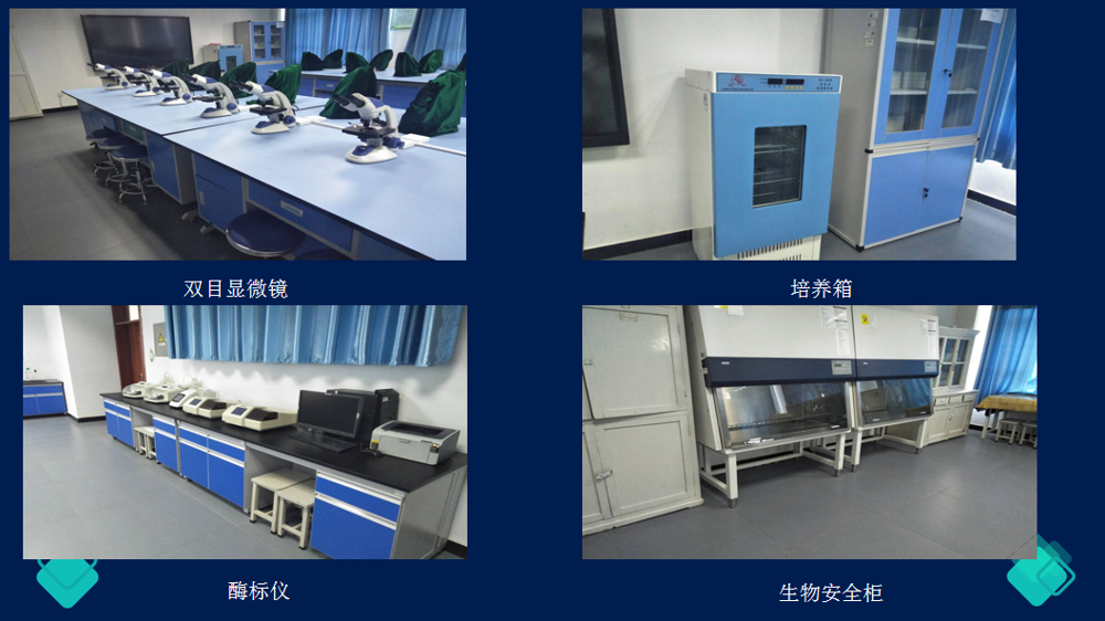 1710156772124_B2B3170D-99B1-431b-8548-FF7CEEEB5EA3