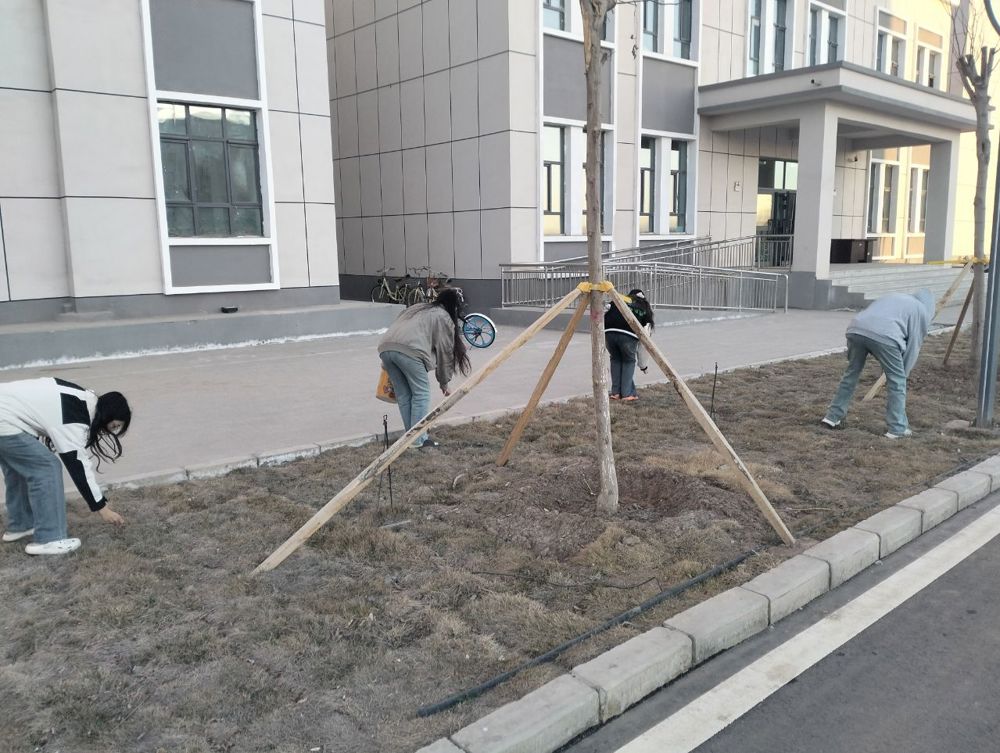 ff908c4192c0f5bb7e2ae2ca356b2ff0