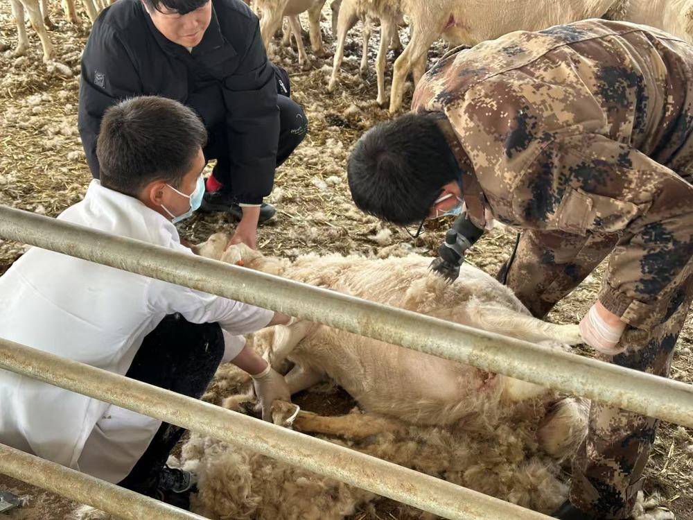 mmexport1741765276368