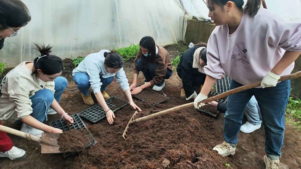 mmexport1741767639518